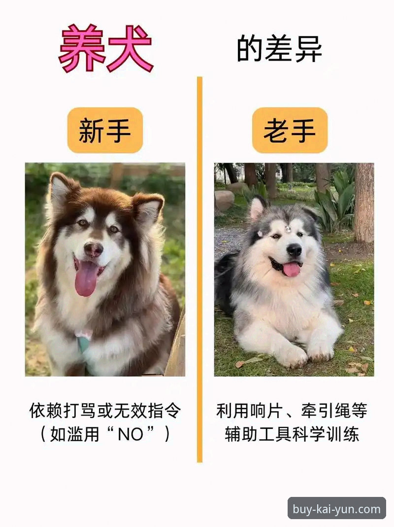 新手注册vs老手推荐：kaiyun体育平台注册流程全攻略